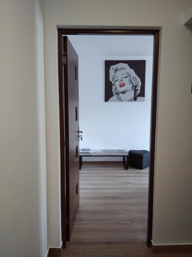 Apartament Cristian Apartment Orsova Exterior photo